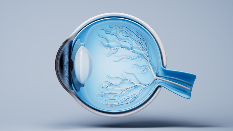 眼球のイラスト